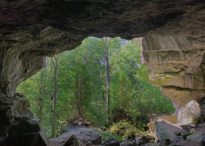 « Blogg » avec deux « g »