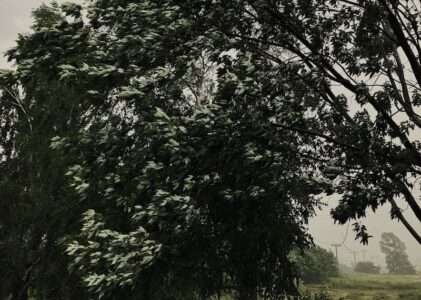 C&rsquo;était une histoire d&rsquo;orage