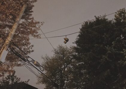 Pensées biens perchées